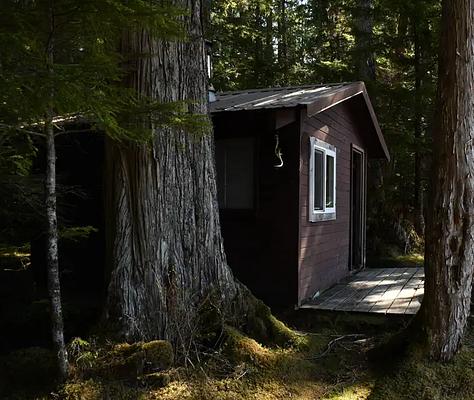 T09, Loop: AREA SALMON BAY LAKE CABIN