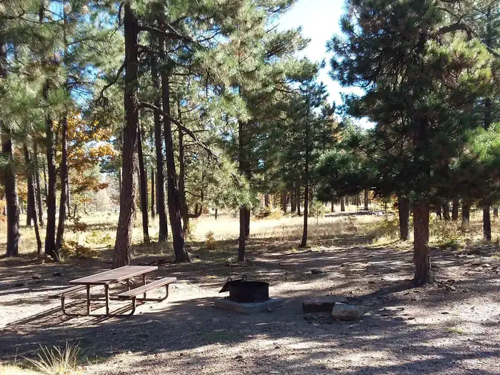 Mogollon Campground