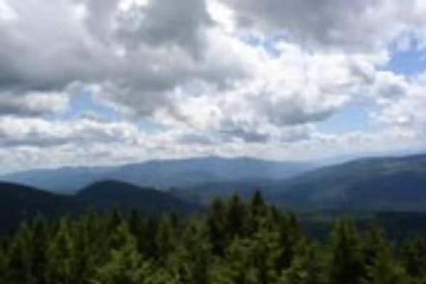 001, Loop: AREA DEER RIDGE LOOKOUT