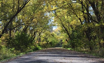 Cottonwood Recreation Area