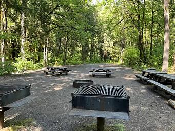 Group area with picnic tables and grills