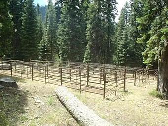 Carter Meadows Horse Group