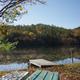 dock and water