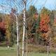 Campspot slideshow image 5