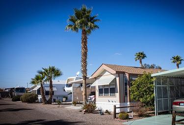 Close view of annual/long-term RV/park model sites with palms and paved pads — useful to show site types available at the resort.