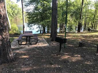 Campsite #4