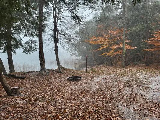 001, Loop: BASS LAKE CAMPSITE