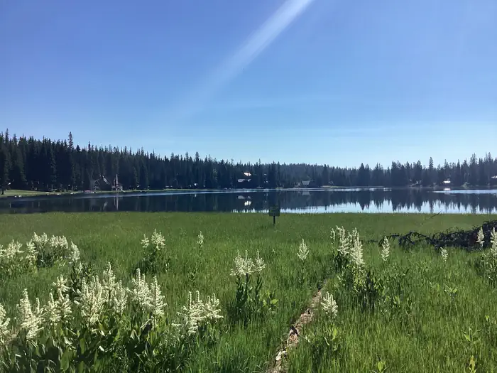 Woodward Campground