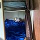2017 Jayco Jay Flight 26BH