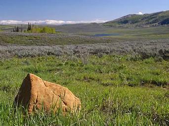 Gooseberry Group Campground Field