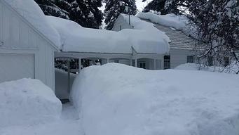 Savenac West Cottage