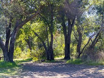 Holiday group Campground a