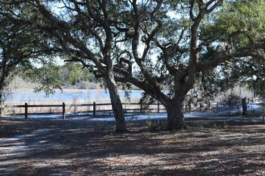 Campground image 4