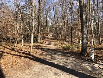 Marsden Tract Group Campsite