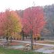 Bulltown Campground in the fall