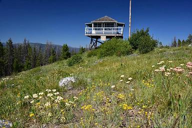 Mccart Lookout