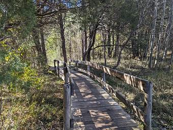 Trail Bridge
