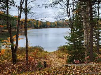 Carr Lake Water Access and stairs