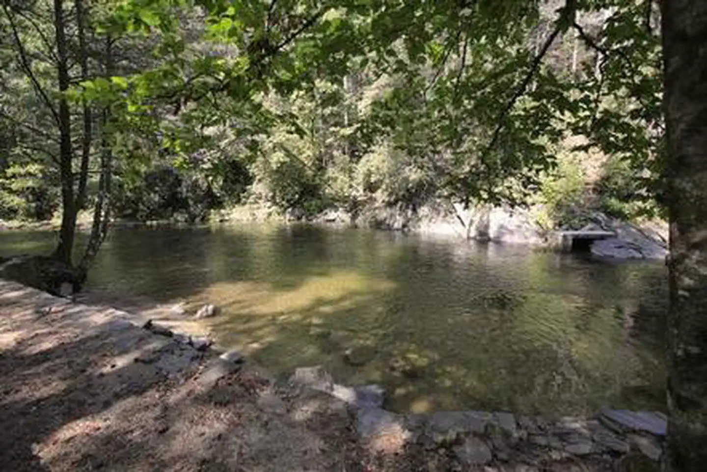 Davidson River