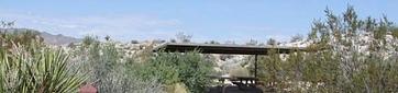 Cottonwood Group