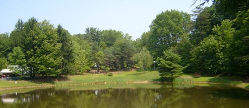 Christmas Pines Campground