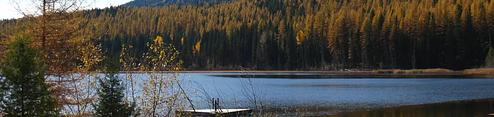 01, Loop: AREA LOST LAKE GROUP UNIT