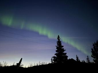 Night sky view of the northern lights above silhouetted trees and low campground structures — attractive scenic shot tied to the property (file is on the park’s site and depicts the park skyline).