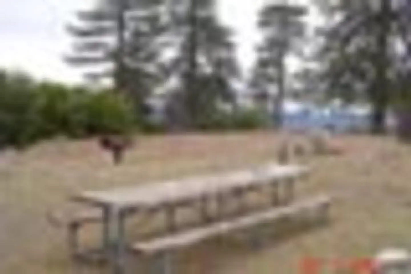 Lightning Point Group Campground
