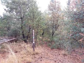 Lynx Campground