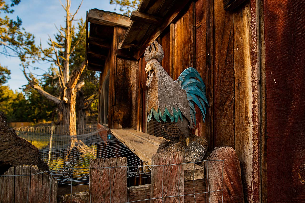 Roadhouse Ranch & Camp