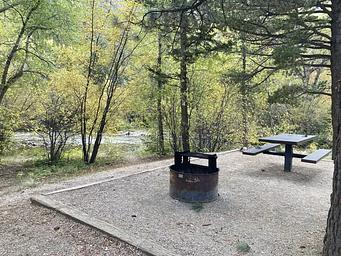 Campsite near creek surrounded by trees