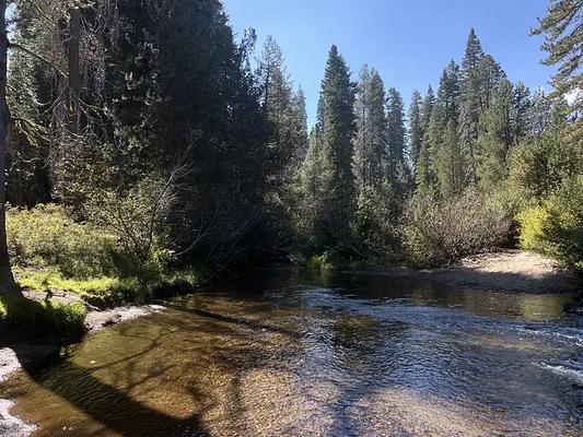 1, Loop: AREA SILVER CREEK GROUP CAMPGROUND