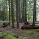 North Fork Campsites