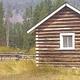 Moose lake Cabin