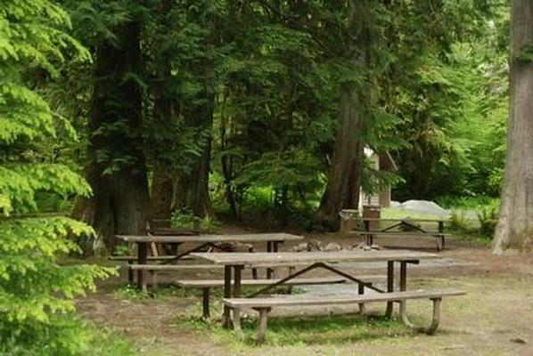 A001, Loop: AREA NORTH FORK BEAR GROUP
