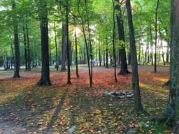 Yogi Bear’s Jellystone Park Camp-Resort of Door County