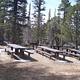 Yellow Pine Group Campsite