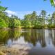 Stocked fishing lake surrounded by pines at Shady Lake RV Park in Leesville, Louisiana