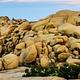 Jumbo Rocks, Joshua Tree National Park
