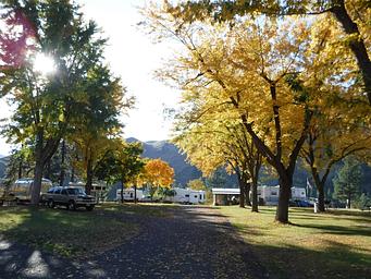Mckay's Bend Recreation Site