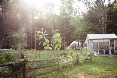 The Outlier Inn