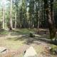 Fir Cove Campground Campsites