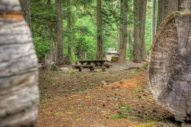 Adams Fork Campground