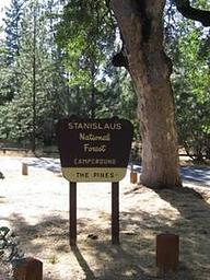 PINES GROUP STANISLAUS