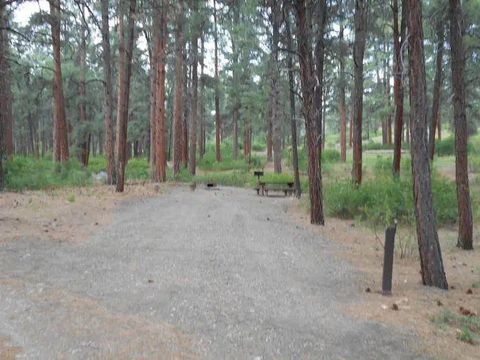 Ute Campground (CO)