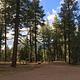 Sharp Creek Campground surrounded by the Tonto National Forest