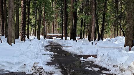 Upper Pines snow-plowed road