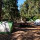 Tents in forested area. 