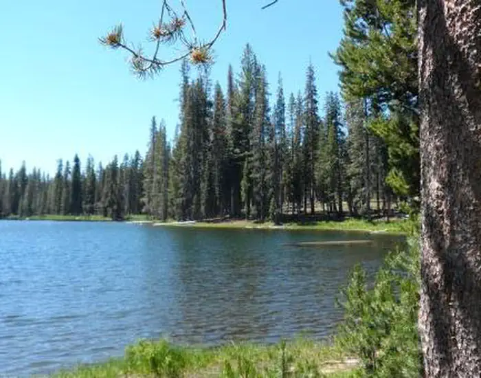 Summit Lake South
