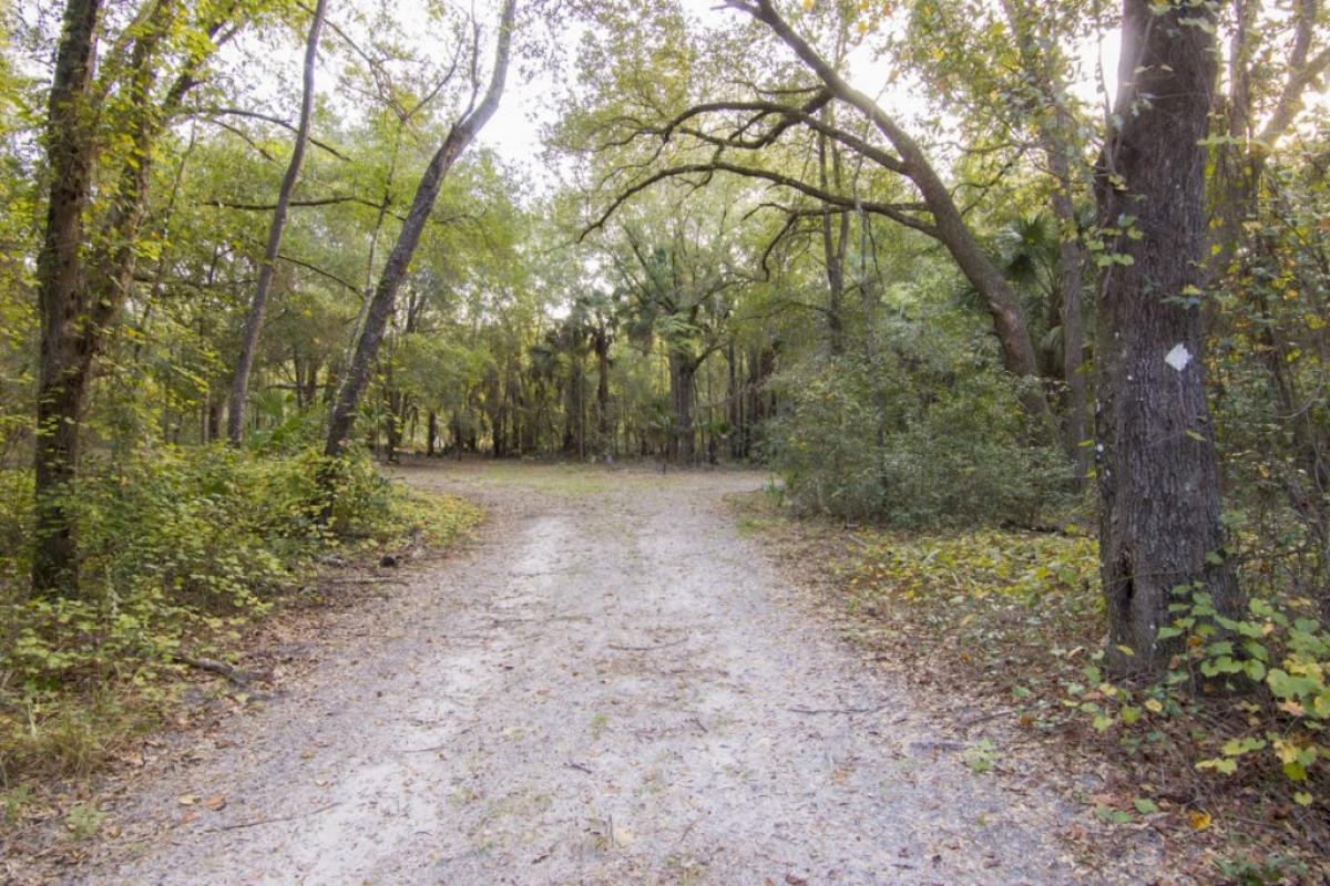 Murphy Island Conservation Area Boat-In SJRWMD